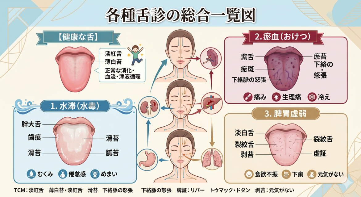 【舌診でセルフチェック】春先から感じるカラダの不調、その原因は？（水滞・瘀血・脾胃虚弱）