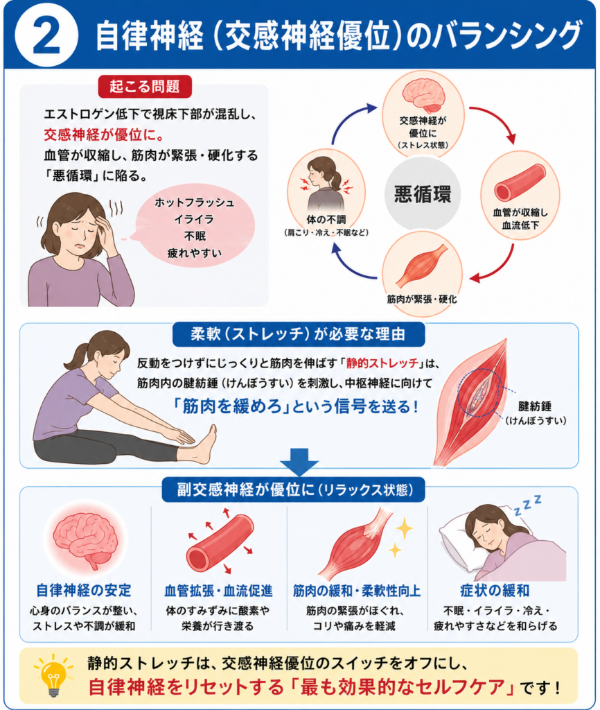 更年期の女性にストレッチが必要な理由_自律神経のバランシング