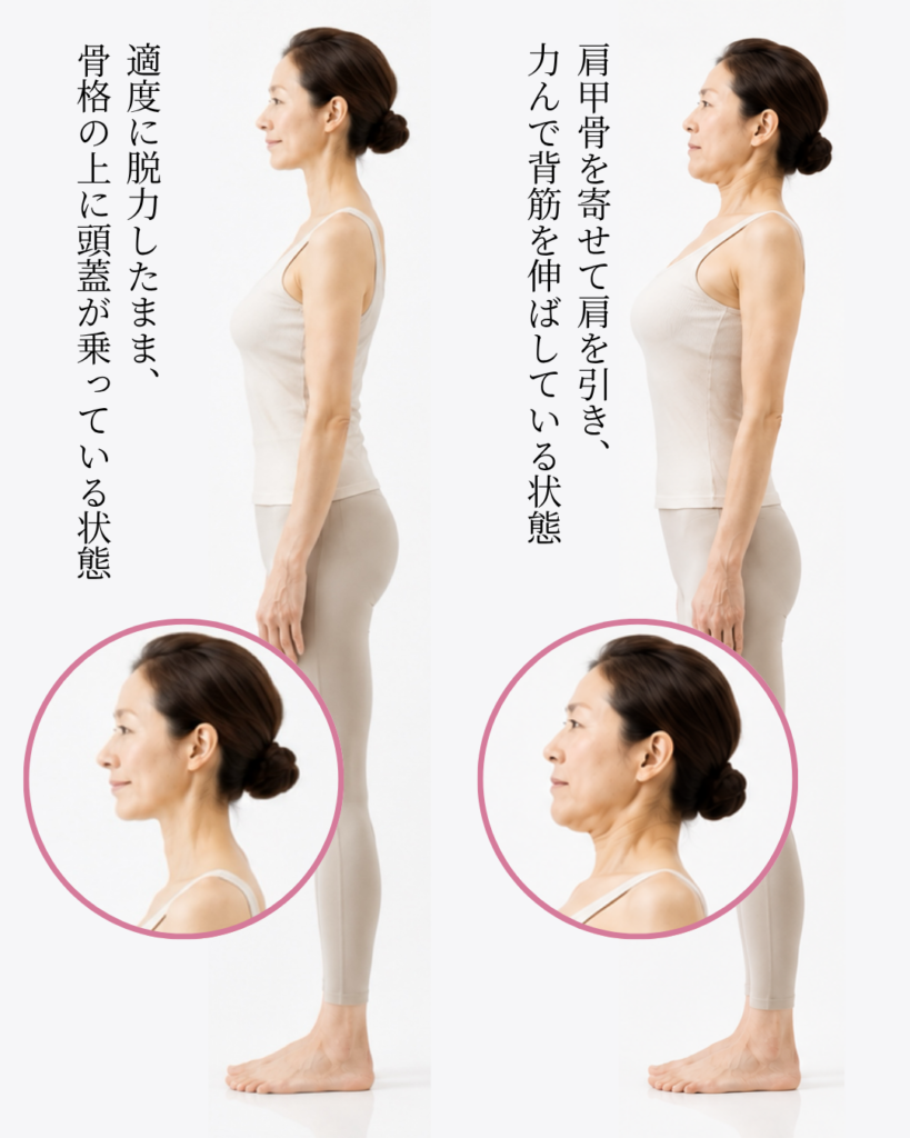 適度に脱力したまま、骨格の上に頭蓋が乗っている状態 / 肩甲骨を寄せて肩を引き、力んで背筋を伸ばしている状態